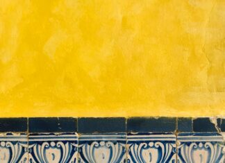 Malcolm In The Middle: Why This Classic Show Still Captivates Fans