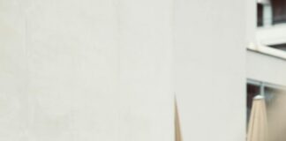 Putin Trump Ukraine Ceasefire: Can Peace Be Achieved Soon? Home