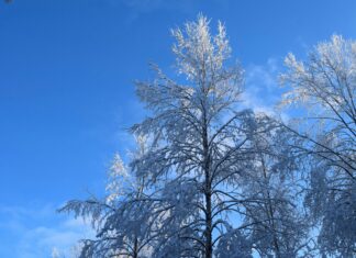 Uk Weather Snow Maps Reveal Arctic Blast: What To Expect Next?