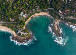 South Africa Vs Sri Lanka: Which Team Will Dominate The Clash?