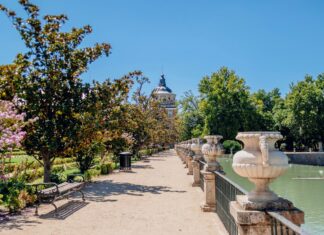 Dortmund Vs Real Madrid: Epic Clash Fans Can’t Afford To Miss