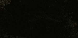 Taylor Swift UK Tour: Exclusive Insights You Can’t Miss Home