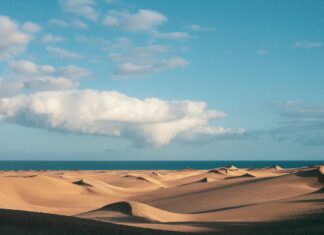 Weather In Gran Canaria: Discover What Makes It Perfect For Holidays