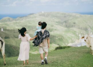 Free Child Place Holidays: Discover Amazing Family Deals Today!