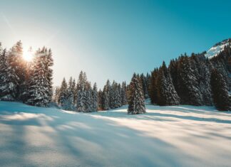 Tottenham Vs Nottm Forest: Who Will Dominate The Pitch Today?