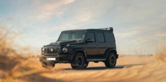 Katniss Everdeen The Mockingjay: Unveiling Her Powerful Journey Home