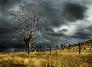 Storm Darragh Weather Warnings: What You Need to Know Today