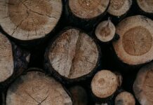 Winter Fuel Payment Pensioners Need: Essential Tips To Maximise Benefits Home