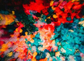 Current Body LED Mask: Discover How It Transforms Your Skin Naturally