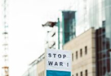 Trump Putin Ukraine Ceasefire: Can Peace Talks Finally Succeed? Home