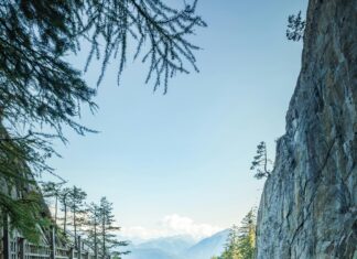 Nottm Forest Vs Brighton: Who Will Dominate The Pitch Today?