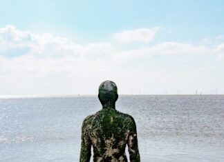 West Ham Vs Liverpool F.C. Standings: Who Dominates The League?