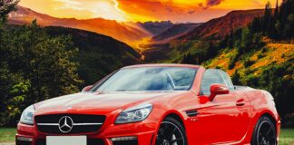 Sabrina Carpenter UK Tour: Must-See Moments and Exclusive Insights Home