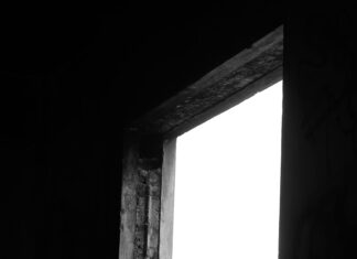 And Tom And Jerry: Discover The Timeless Charm Behind Their Classic Chase