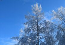 UK February Snow Weather Alert: What Extreme Conditions Should You Expect?
