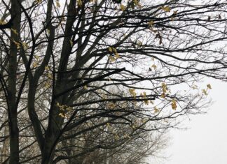 Gangs Of London Season 2: What Shocking Twists Await Fans?