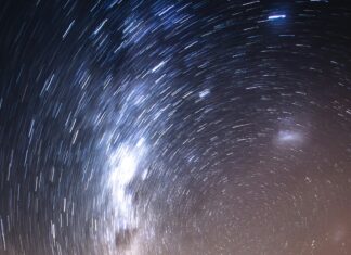 New Zealand Vs Pakistan: Which Team Will Dominate The Battle?