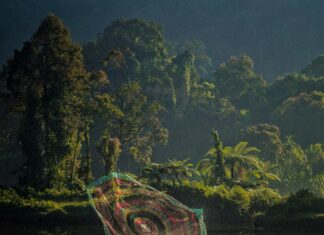 Nottingham Forest Vs Liverpool F.C. Standings: Who Dominates Now?