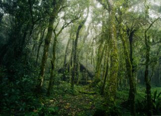 Jamie Campbell Bower And His Stunning Rise To Stardom Revealed