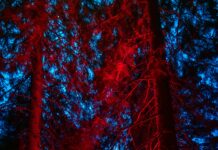 Cast Of Bond 25 Revealed: Who Stars In The Epic Spy Thriller?