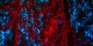 Cast Of Bond 25 Revealed: Who Stars In The Epic Spy Thriller? Home