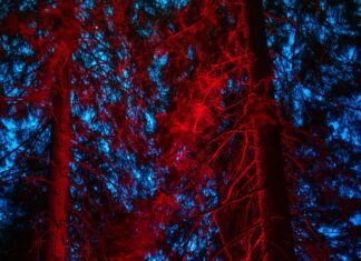 Cast Of The Turkish Detective: Who Are The Stars Behind The Thriller?