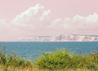 England Vs South Africa: Which Team Will Dominate the Battle?