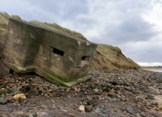 Aesculapian Snakes UK Invasion: Shocking Truths Revealed