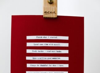 When Does I’m A Celeb Start? Discover Exciting Premiere Details