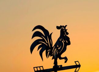 North West Evening Mail: Uncover Exclusive Stories That Matter