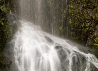 New Zealand Vs Sri Lanka: Thrilling Cricket Clash You Can’t Miss