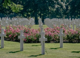 World War Z 2 Secrets Revealed: What Fans Are Eager To Discover