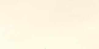 Cast Of Four Weddings And A Funeral: Who Are The Iconic Stars? Home