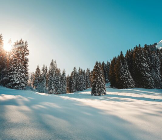 Anthony Joshua Vs Daniel Dubois: Who Will Dominate The Ring? Home