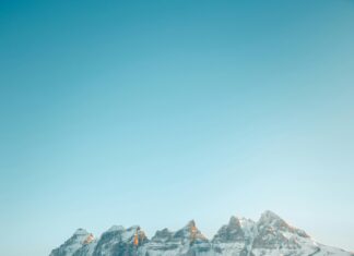 Beterbiev Vs Bivol Rematch: Who Will Dominate The Ring Again?