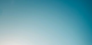 Nottm Forest Vs Wolves: Who Will Dominate This Thrilling Clash? Home