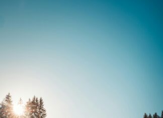 Nottm Forest Vs Wolves: Who Will Dominate This Thrilling Clash?