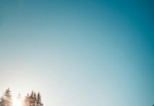 Nottingham Forest Vs Liverpool F.C. Lineups: Who Will Dominate?