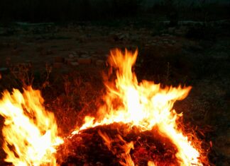 Weather Forecast Heatwave UK: Is The Scorching Heat Here To Stay?