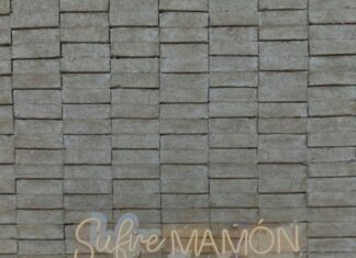 Battersea Dogs And Cats Home Secrets: How They Change Lives Forever