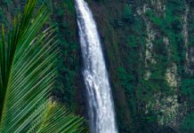 Laura Geller Laura Geller: Discover Stunning Beauty Secrets Today Home