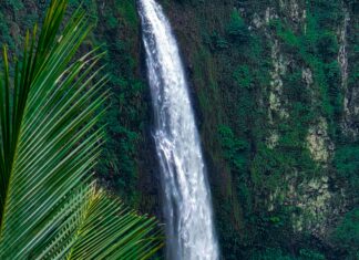 Laura Geller Laura Geller: Discover Stunning Beauty Secrets Today