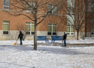 The Last Of Us Season 2: What Shocking Twists Will Unfold?