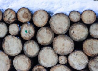 Winter Fuel Payment Cut: What It Means For Your Household Budget