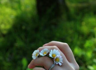 Chelsea Flower Show: Discover Stunning Gardens and Secrets Revealed