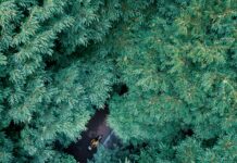 When Do The Clocks Change? Discover The Surprising Truth Today