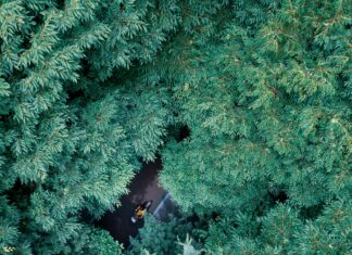 When Do The Clocks Change? Discover The Surprising Truth Today