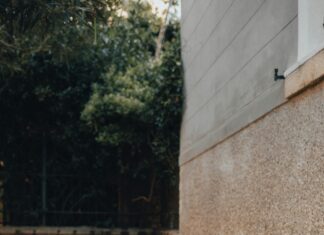 Larry The Cat Downing Street Death: Shocking Truth Revealed