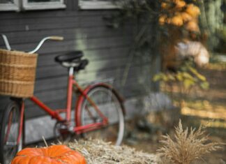 Small Town Big Story: Uncover Hidden Secrets That Inspire Awe