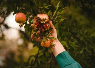 Dwp Pip Payments: How To Maximise Your Benefits With Expert Tips